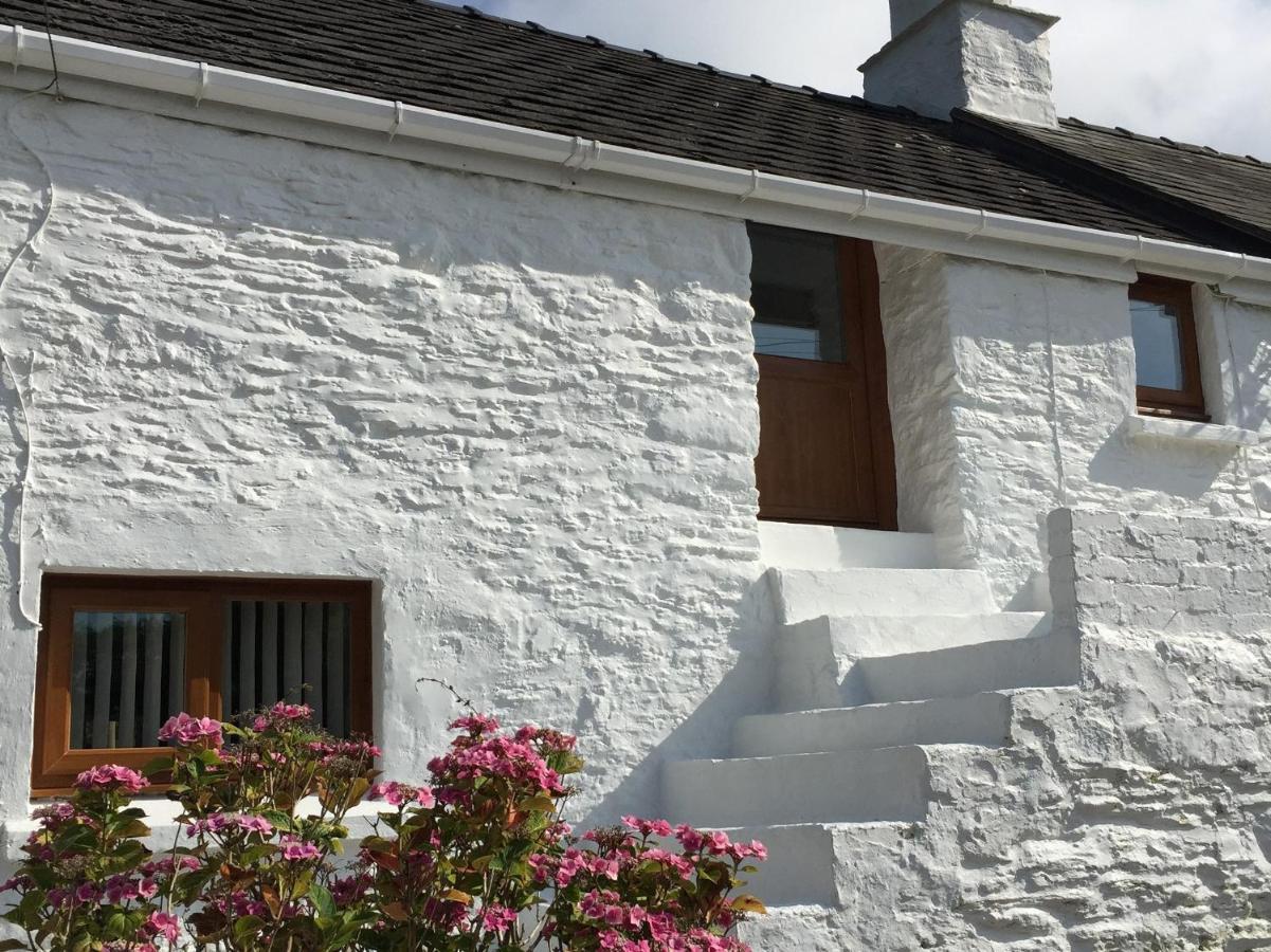 Little Barn Cottage Νιούπορτ Εξωτερικό φωτογραφία